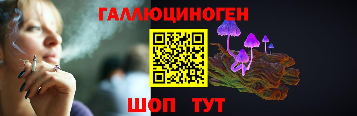 Дедовск  Псилоцибиновые грибы мухоморы  Вход с VPN 